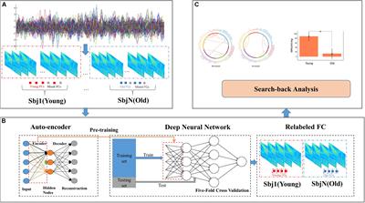 Detecting the Information of Functional Connectivity Networks in Normal Aging Using Deep Learning From a Big Data Perspective